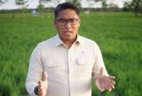 Produksi padi nasional melonjak 15 persen berkat program optimalisasi lahan dan rice transplanter yang dipimpin Wamentan Sudaryono di Kalimantan Barat. (Dok. Kementan)