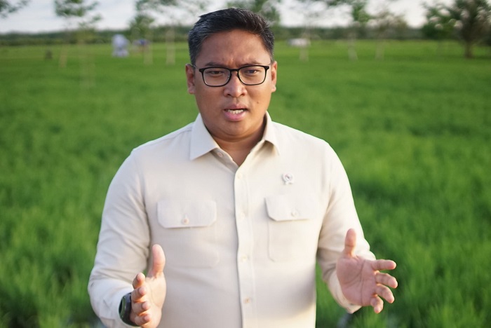 Produksi padi nasional melonjak 15 persen berkat program optimalisasi lahan dan rice transplanter yang dipimpin Wamentan Sudaryono di Kalimantan Barat. (Dok. Kementan)